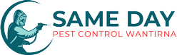 Same day Pest Control  And Repairs