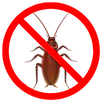 Cockroach Control Wantirna