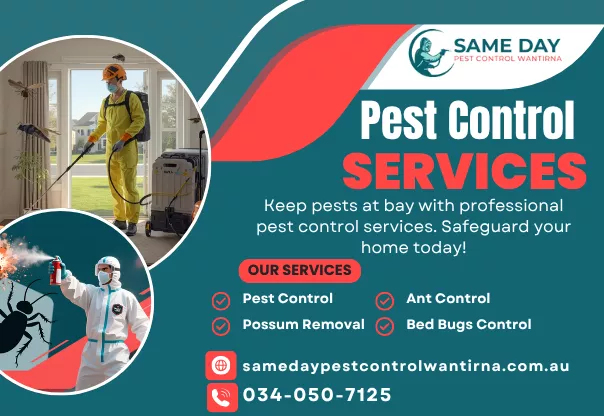 Pest Control Wantirna